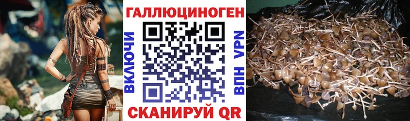 Галлюциногенные грибы мицелий  ОМГ ОМГ ССЫЛКА  Нарьян-Мар 